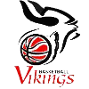 https://img.ygnsz.com/img/basketball/team/68b3b1e0496d46b3988571d5c75d1ed8.png