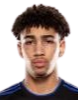 https://img.ygnsz.com/img/football/player/fb7fd3390bdc25307ce54843fe6472dd.png