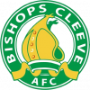 https://img.ygnsz.com/img/football/team/117b9f710567cff1ff00b73ceca460da.png