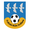 https://img.ygnsz.com/img/football/team/259a1106a33b56d2bb3c458a62ffa2ea.png