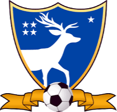 https://img.ygnsz.com/img/football/team/3c5892610a922e20fdba01565fa6643b.png