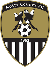 https://img.ygnsz.com/img/football/team/9e230c89a846b9cadf91884918fa7611.png