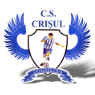 https://img.ygnsz.com/img/football/team/bf08fc48441fb4d33d9ef08d21b33253.png